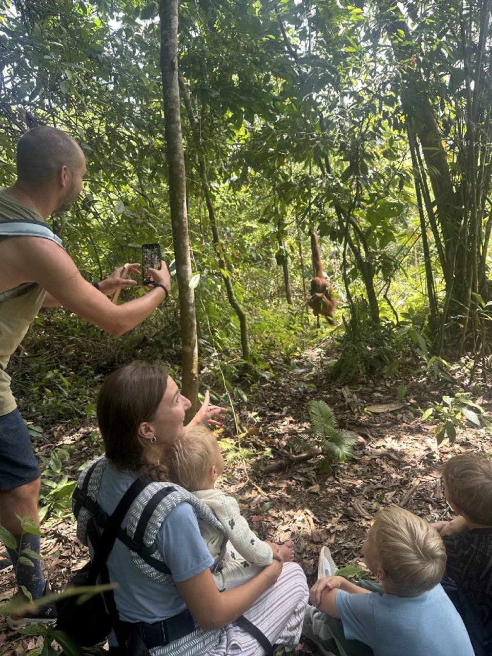 Meeting orangutans in the jungles of Sumatra, Indonesia